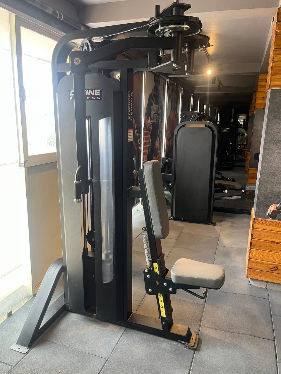 Best Gym Equipment India